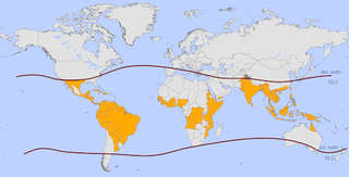 Illustration for article titled The World’s First Dengue Fever Vaccine Is Coming to Three Countries